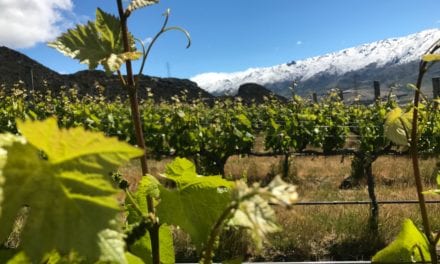 Winemaker Paul Pujol: Prophet’s Rock – NZ Wine Podcast 29