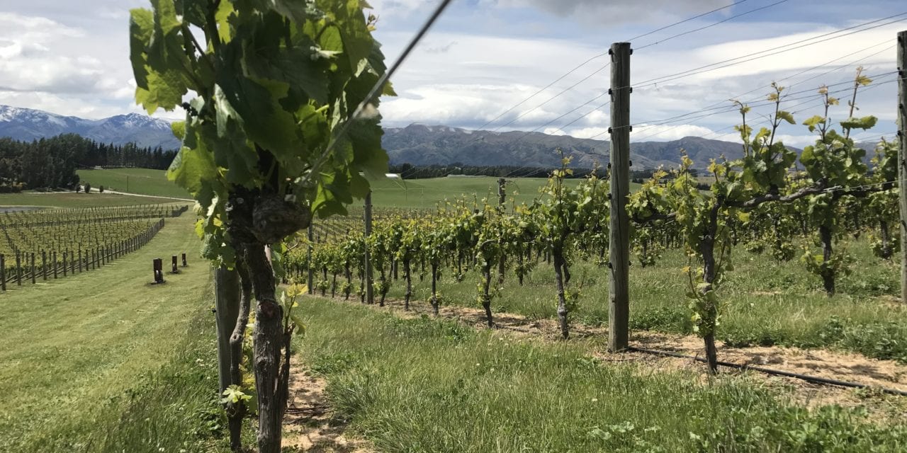 Andrew Donaldson: Akitu Wines – NZ Wine Podcast 31