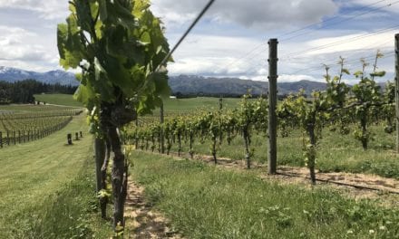 Andrew Donaldson: Akitu Wines – NZ Wine Podcast 31