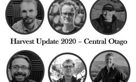 Harvest Update 2020 Central Otago – NZ Wine Podcast 67