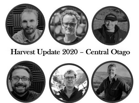 Harvest Update 2020 Central Otago – NZ Wine Podcast 67