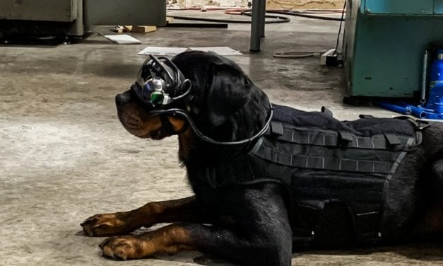 Hacking Apple, Dogs using Virtual Reality, NZ Government vs Encryption
