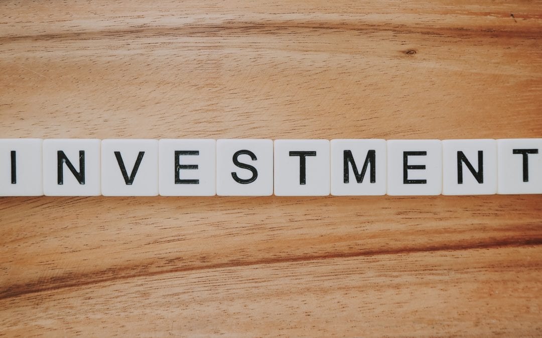 Technology Investment in New Zealand