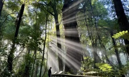 A new biodiversity credit – Sean Weaver and Helen Hughes